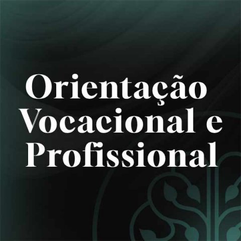 Orientao Vocacional e Profissional